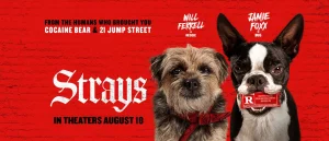 Strays