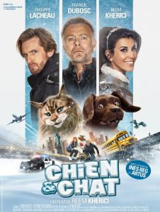 Chien et chat