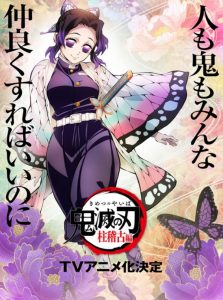 Demon slayer: To the Hashira training