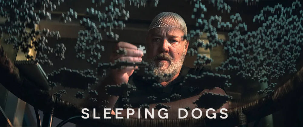 Sleeping dogs