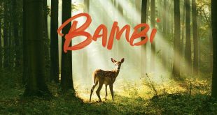 Bambi l'histoire d'une vie dans les bois