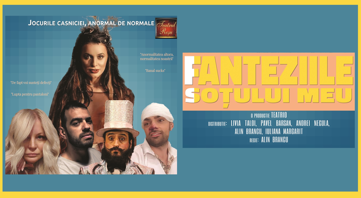 Fanteziile soțului meu