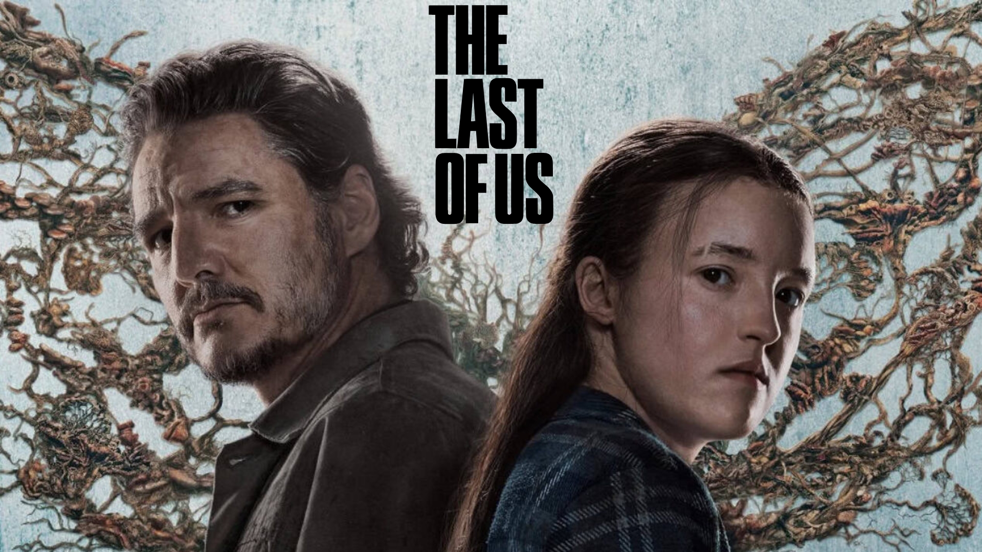The last of us