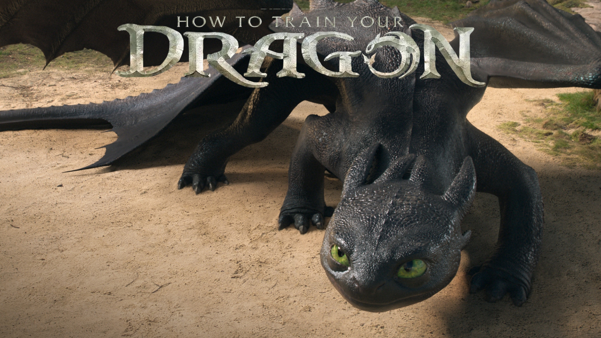 How to train your dragon