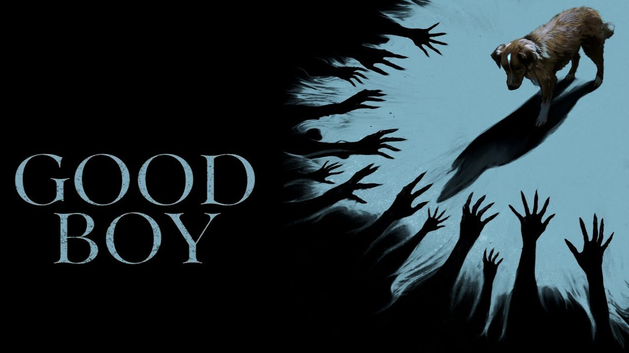 Good Boy