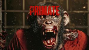 Primate