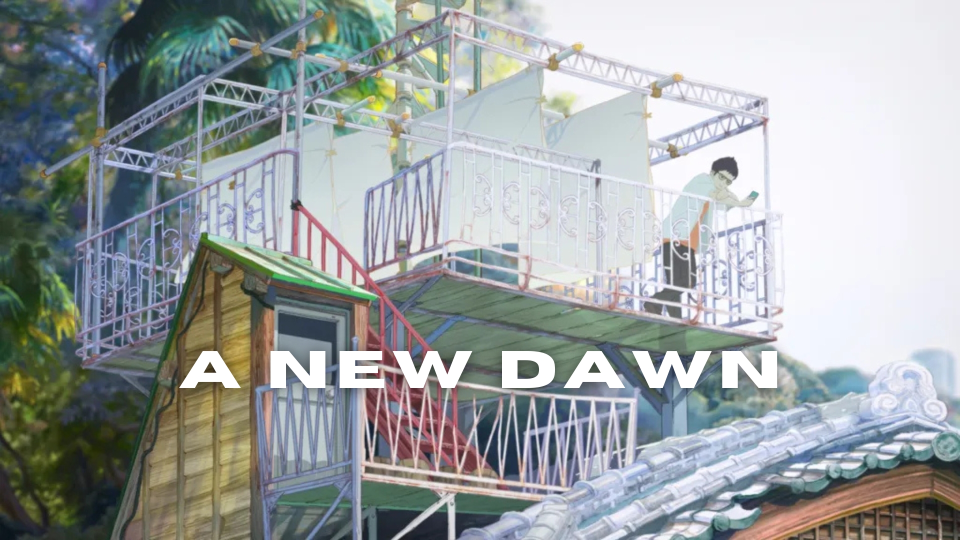 A New Dawn