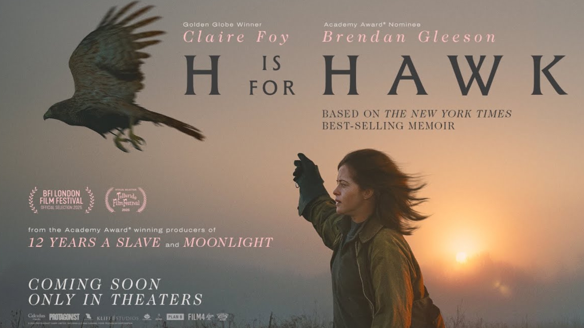H is for Hawk